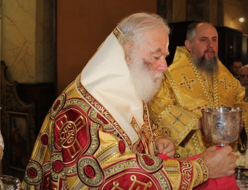 HOMILY OF THE PATRIARCH OF ALEXANDRIA THEODOROS II AT THE LITURGICAL CONCELEBRATION WITH THE METROPOLITAN OF KIEV EPIPHANIOS.